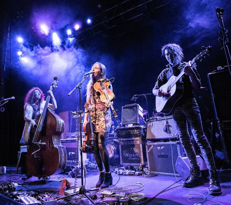 The Sweet Lillies
